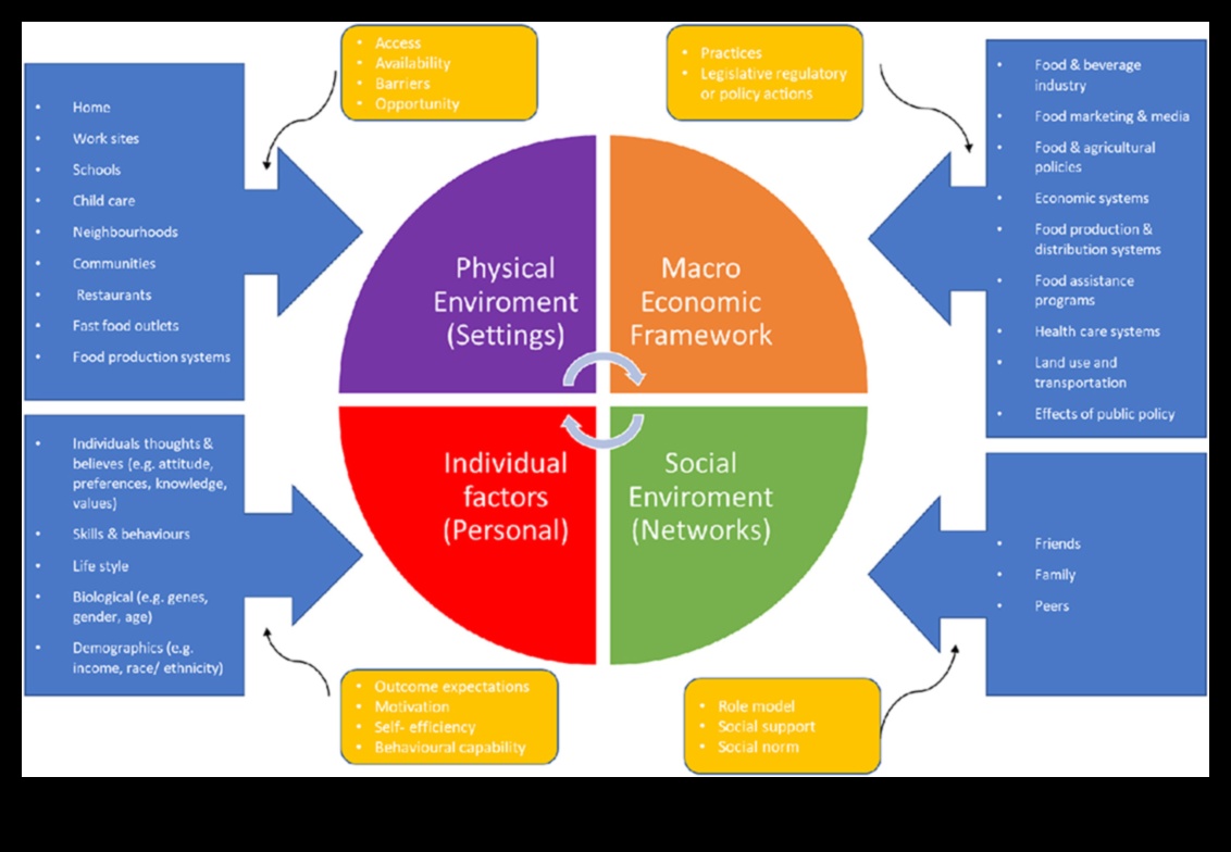 الأنظمة الغذائية قصيرة المدى والديناميكيات الاجتماعية: التنقل في التجمعات والأحداث