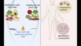 الأنظمة الغذائية قصيرة المدى والديناميكيات الاجتماعية: التنقل في التجمعات والأحداث