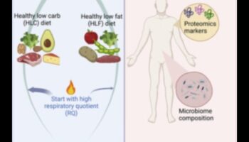 الأنظمة الغذائية قصيرة المدى والديناميكيات الاجتماعية: التنقل في التجمعات والأحداث