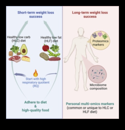 الأنظمة الغذائية قصيرة المدى والديناميكيات الاجتماعية: التنقل في التجمعات والأحداث
