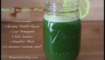 الخير الأخضر: دليل المبتدئين لدمج الخضر في عصائر الخضروات