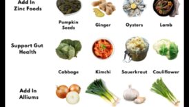 نظام غذائي متوازن لصحة المناعة: ما العلاقة؟