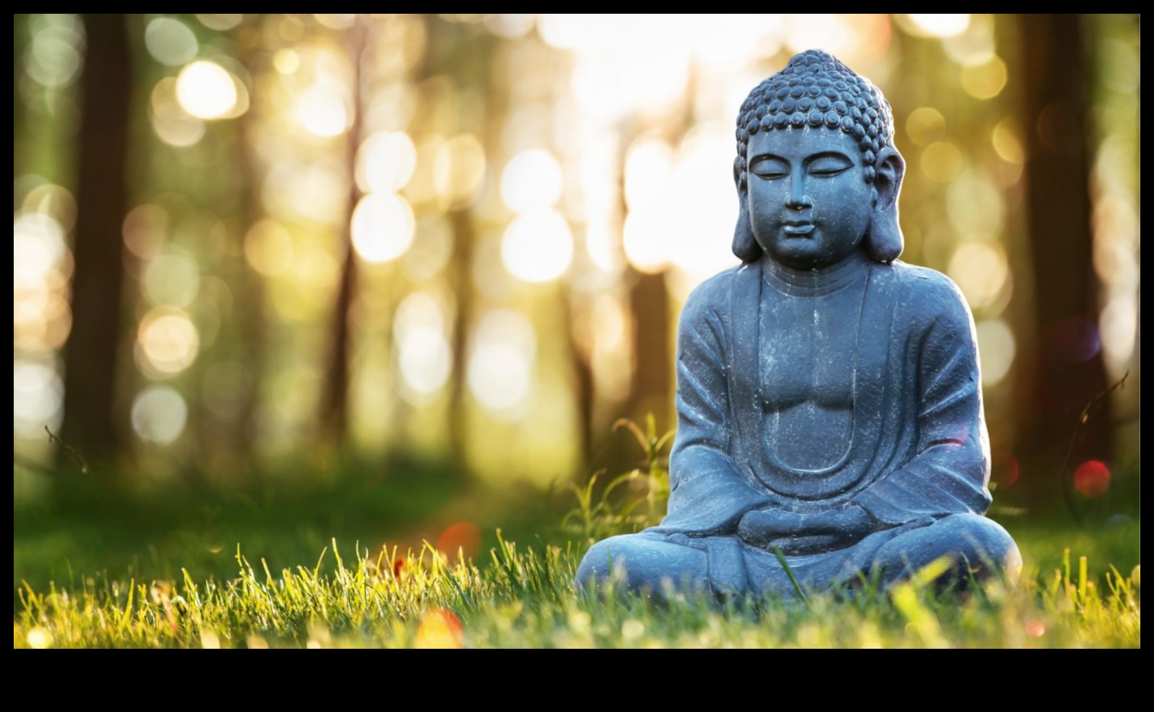 الحكماء والسكون: الكشف عن التأمل