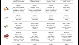 الأنظمة الغذائية قصيرة المدى والتوازن الهرموني: فصل الحقيقة عن الخيال
