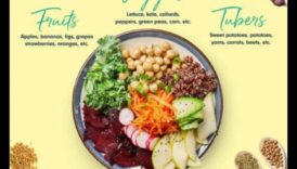 النباتية وأهمية الأطعمة الكاملة