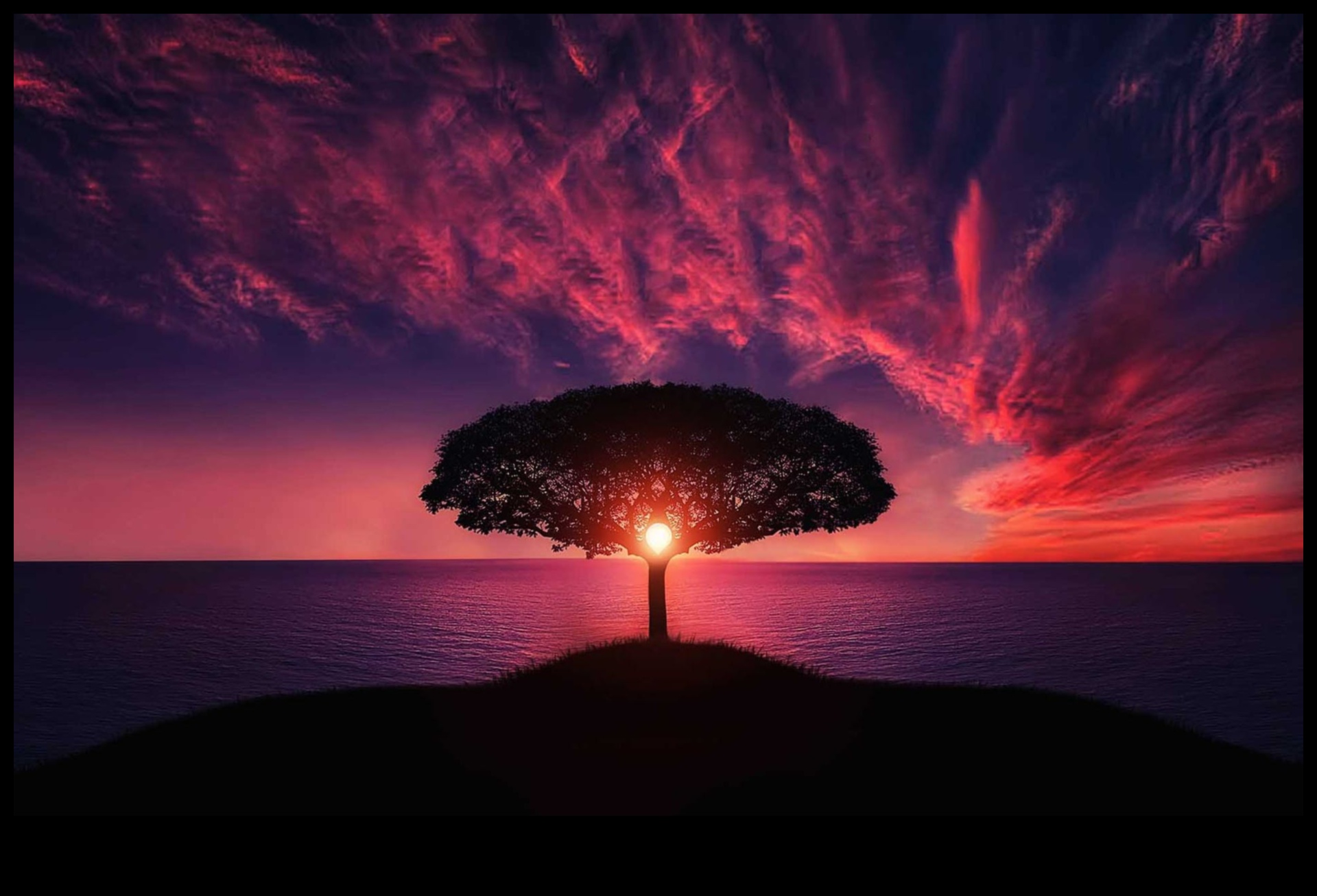 المفاهيم الخاطئة الشائعة حول الأنظمة الغذائية منخفضة الكربوهيدرات: تم ضبطها!