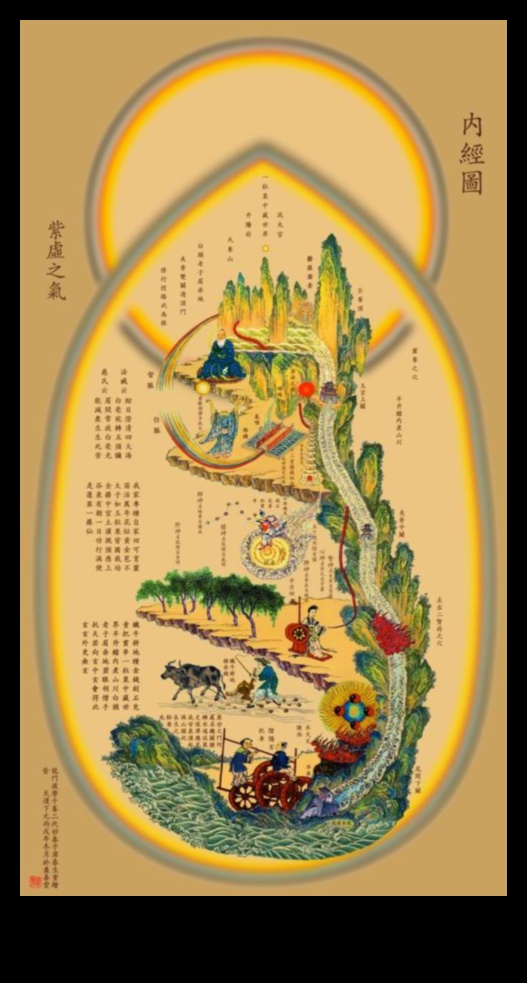 رسم الخرائط الواعية: التنقل في أعماق عمليات مسح الجسم