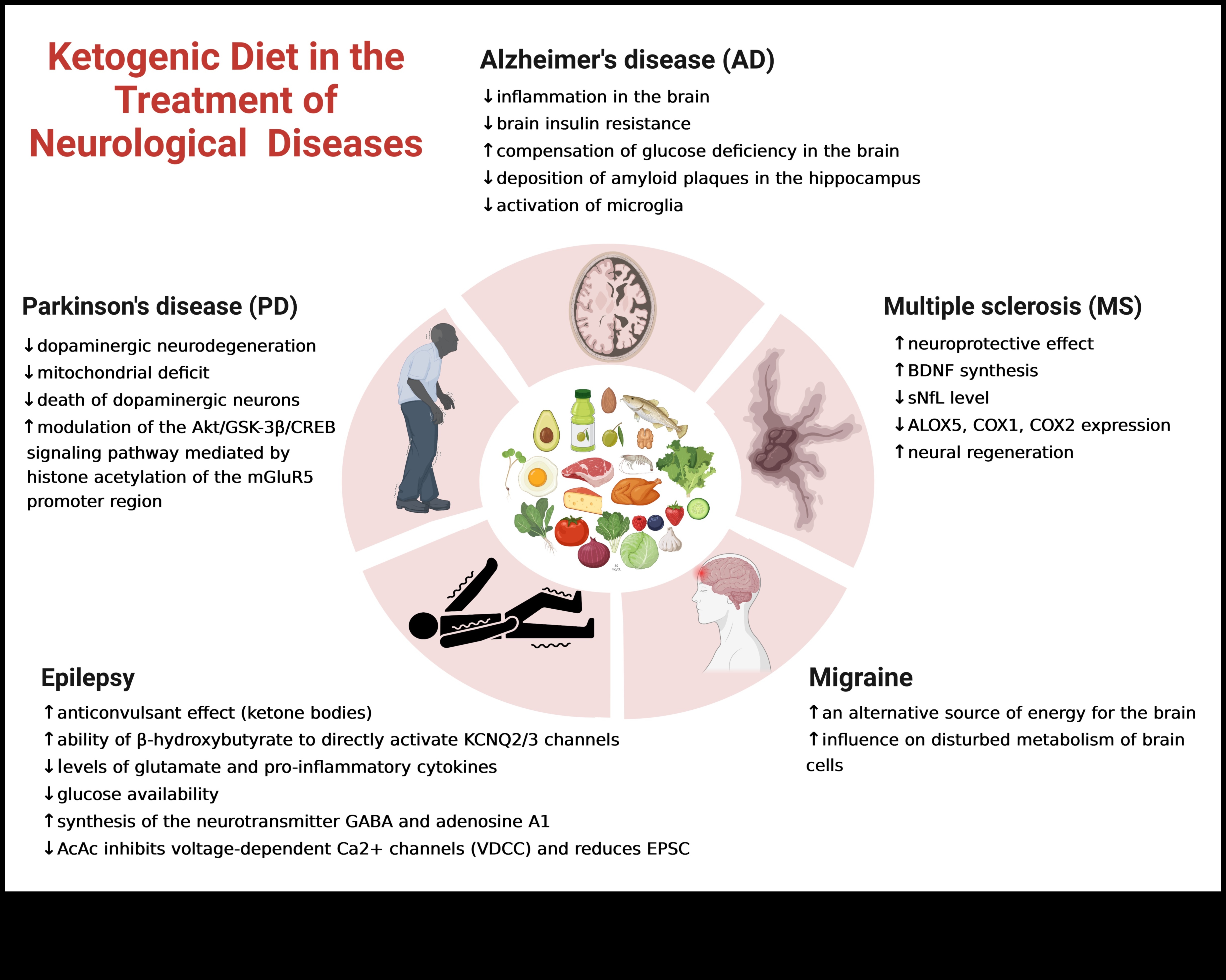 الكيتو والوقاية من الأمراض المزمنة: دليل شامل