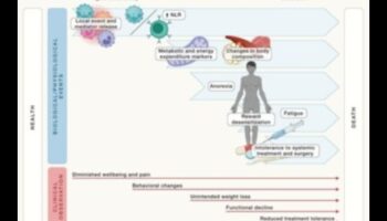 الكيتو والوقاية من الأمراض المزمنة: دليل شامل