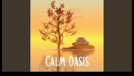 همسات من الهدوء: تأمل شامل