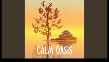 همسات من الهدوء: تأمل شامل