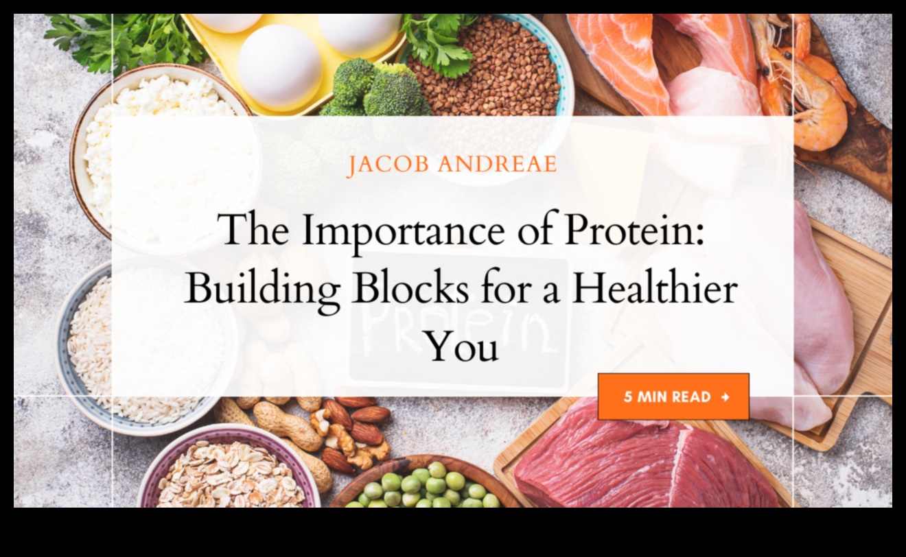دور البروتينات في النظام الغذائي المتوازن