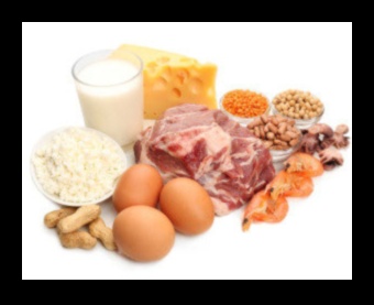 دور البروتينات في النظام الغذائي المتوازن