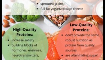 دور البروتينات في النظام الغذائي المتوازن