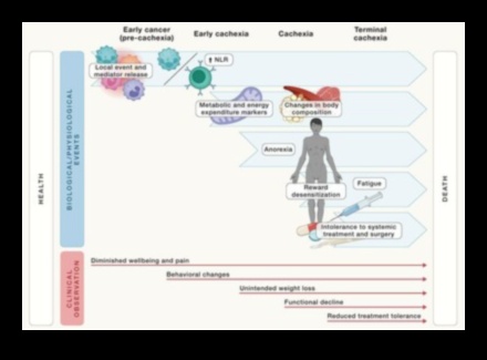 الكيتو والوقاية من الأمراض المزمنة: دليل شامل